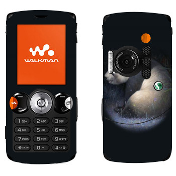   «»   Sony Ericsson W810i