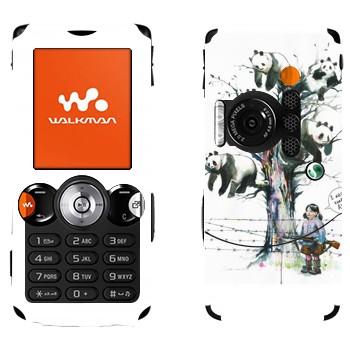 Sony Ericsson W810i