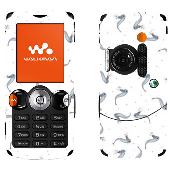   « - Kisung»   Sony Ericsson W810i