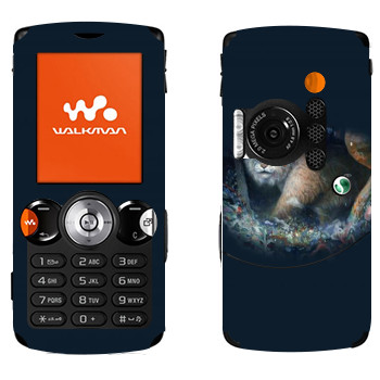   « - Kisung»   Sony Ericsson W810i