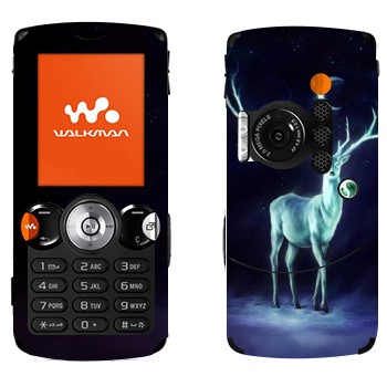   « »   Sony Ericsson W810i