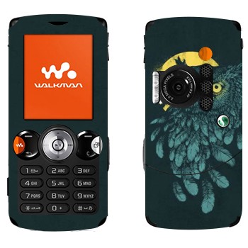 Sony Ericsson W810i