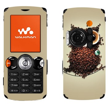 Sony Ericsson W810i