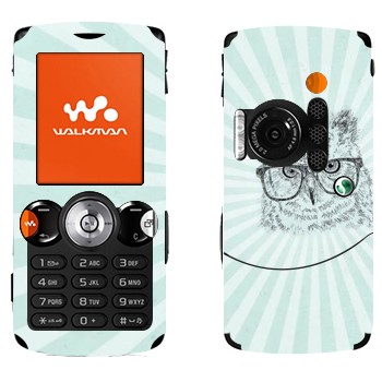   «  »   Sony Ericsson W810i