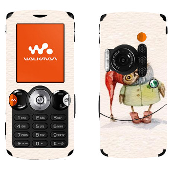   «  »   Sony Ericsson W810i