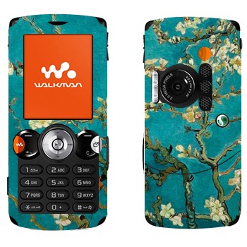   «   -   »   Sony Ericsson W810i