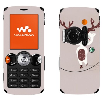 Sony Ericsson W810i