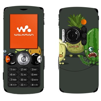 Sony Ericsson W810i