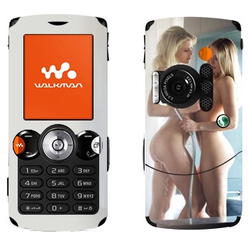   «    »   Sony Ericsson W810i