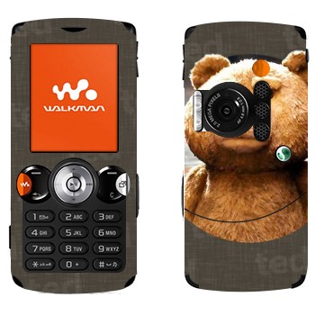 Sony Ericsson W810i