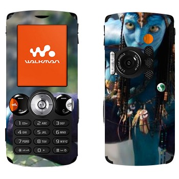   «    - »   Sony Ericsson W810i