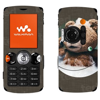 Sony Ericsson W810i