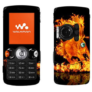   « »   Sony Ericsson W810i