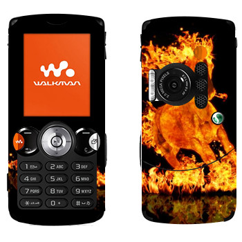   « »   Sony Ericsson W810i