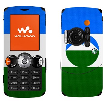 Sony Ericsson W810i