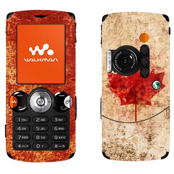   «  »   Sony Ericsson W810i