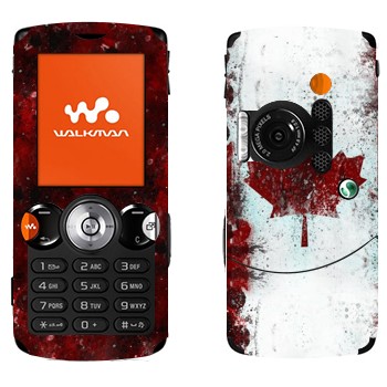 Sony Ericsson W810i