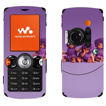 Sony Ericsson W810i