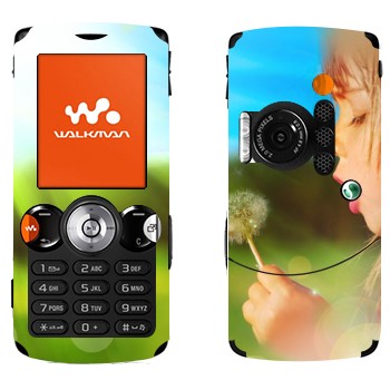   «  »   Sony Ericsson W810i