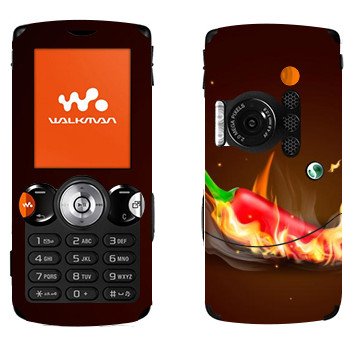 Sony Ericsson W810i