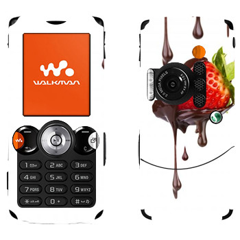   «  »   Sony Ericsson W810i