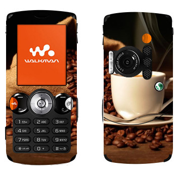 Sony Ericsson W810i