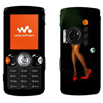   «      »   Sony Ericsson W810i