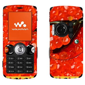 Sony Ericsson W810i