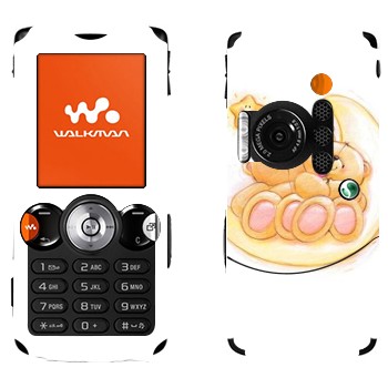 Sony Ericsson W810i