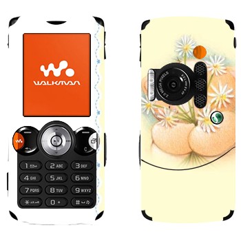   «   »   Sony Ericsson W810i