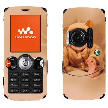   «-»   Sony Ericsson W810i