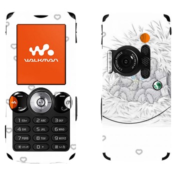 Sony Ericsson W810i