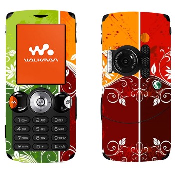 Sony Ericsson W810i