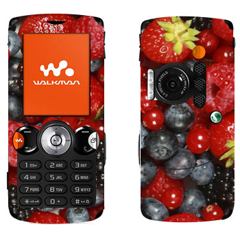   «»   Sony Ericsson W810i