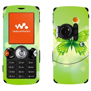 Sony Ericsson W810i