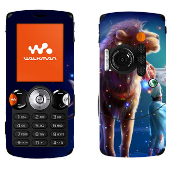 Sony Ericsson W810i