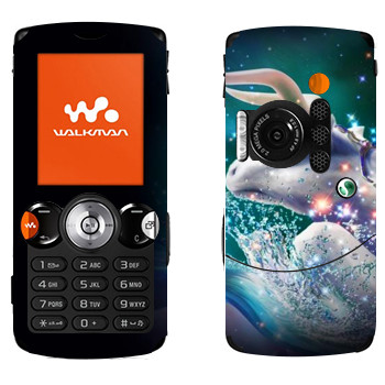 Sony Ericsson W810i