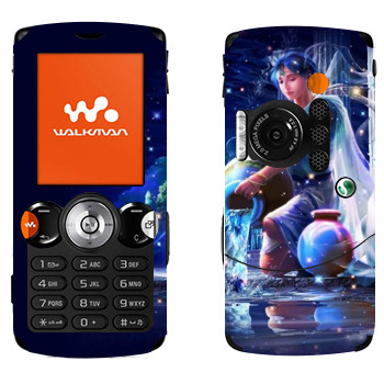   «  »   Sony Ericsson W810i