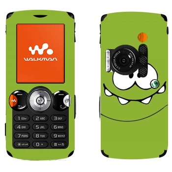 Sony Ericsson W810i