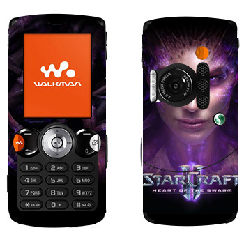 Sony Ericsson W810i