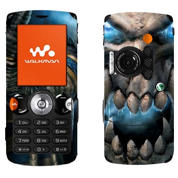 Sony Ericsson W810i