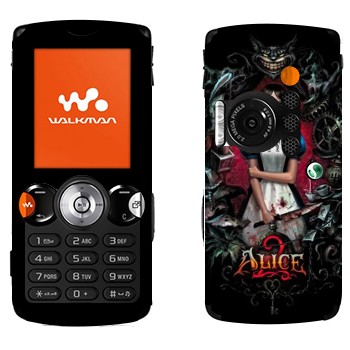   «:  »   Sony Ericsson W810i