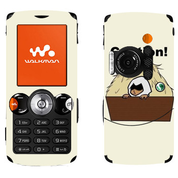 Sony Ericsson W810i