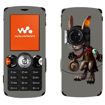 Sony Ericsson W810i