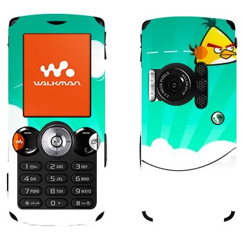   « - Angry Birds»   Sony Ericsson W810i