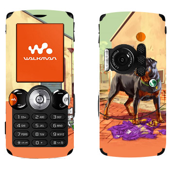 Sony Ericsson W810i