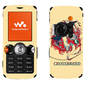   «Dark Souls Crossbreed»   Sony Ericsson W810i