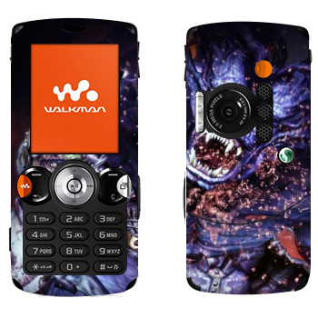 Sony Ericsson W810i