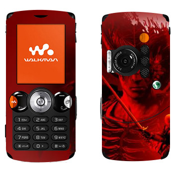 Sony Ericsson W810i