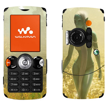   «Drakensang»   Sony Ericsson W810i